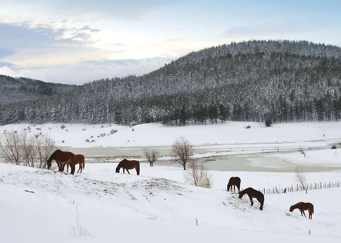 Hotel Cristallo Camigliatello Silano